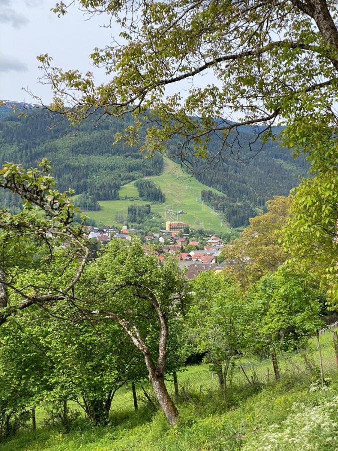 Kreischblick Apartment Sankt Georgen ob Murau Exterior photo
